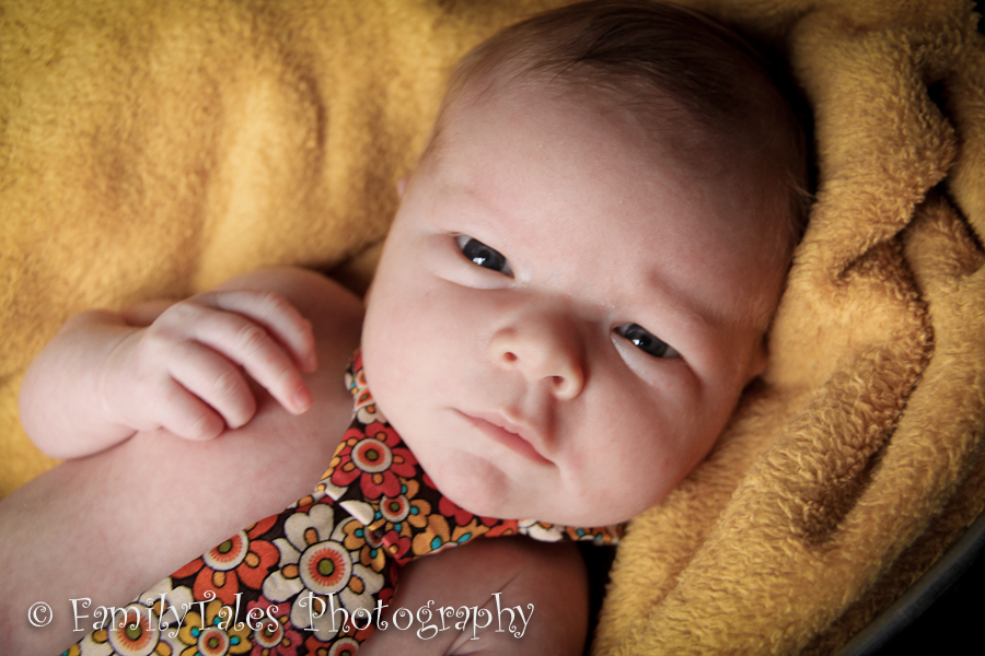 Newborn Photographer PA