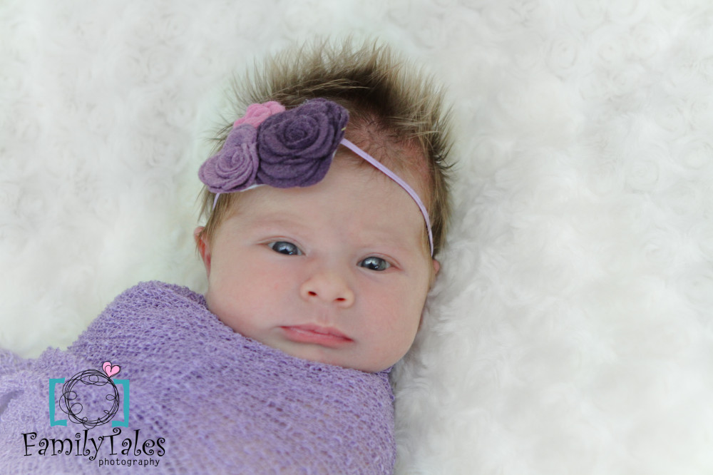 Newborn Photography Marietta PA