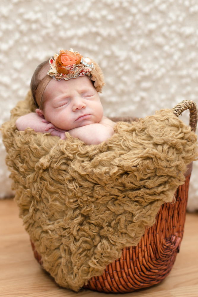 Newborn Photography :: Mount Joy