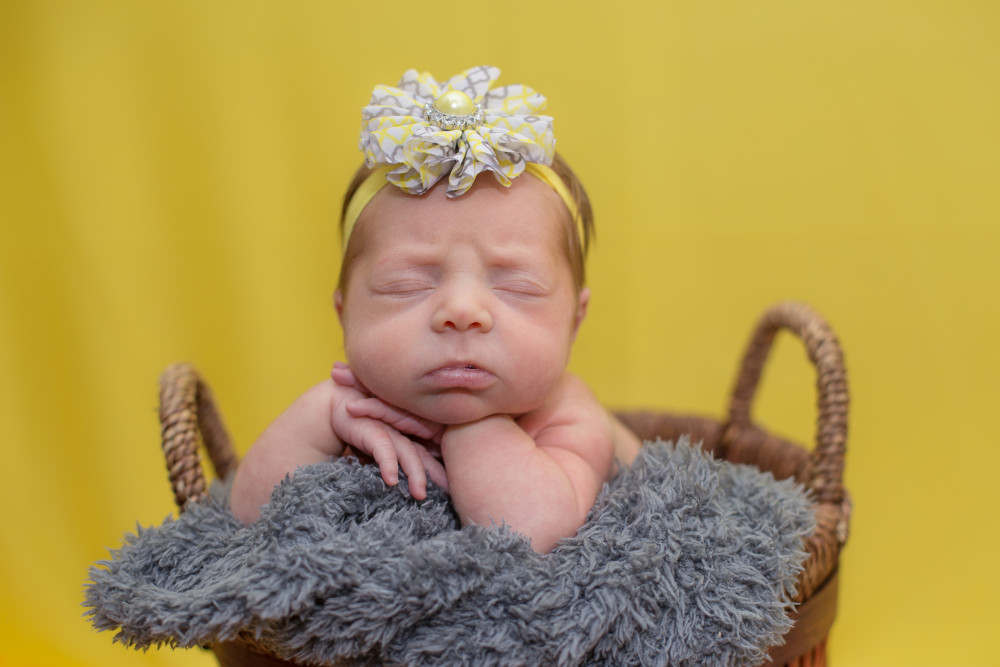 Newborn Photography :: Mount Joy